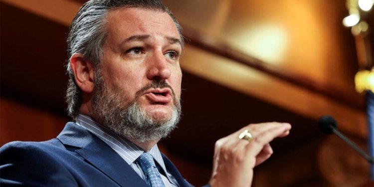 Cruz warns against underestimating Harris: Dems pitching her as ‘Mother Teresa, Oprah and Gandhi’ combo