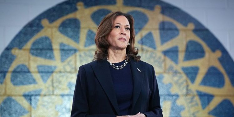 Harris dodging flip-flop attacks as faceless surrogates flip key positions: ‘Playing politics’