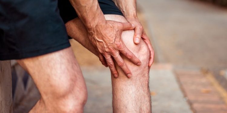 Tiny knee bone linked to arthritis may have helped humans walk upright, scientists suggest